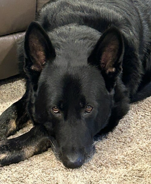 Zeus